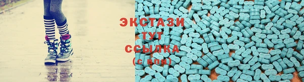 дмт Богданович