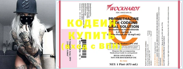 дмт Богданович