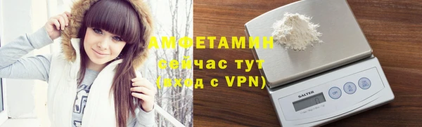 дмт Богданович