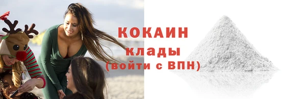 дмт Богданович