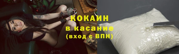 дмт Богданович