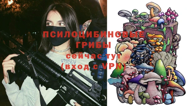 дмт Богданович