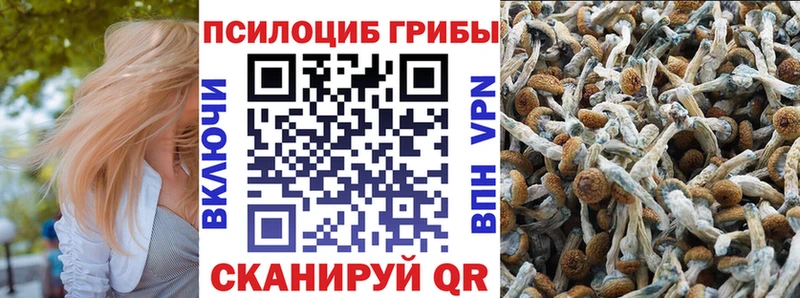 блэк спрут ссылки  Котельниково  Галлюциногенные грибы ЛСД 